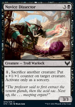 Novice Dissector - Strixhaven: School of Mages (Common) [STX-79]