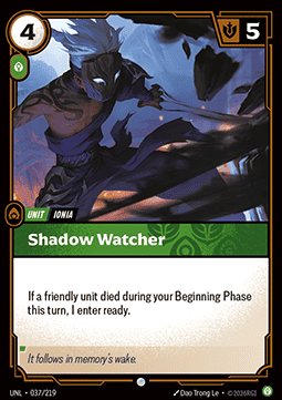 Shadow Watcher
