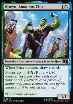 Brawn, Amadeus Cho
